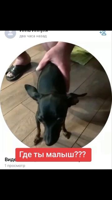 Где ты малыш?
Его вроде нашла какая то женщина, выставила пост,а теперь не хочет выходить на связь