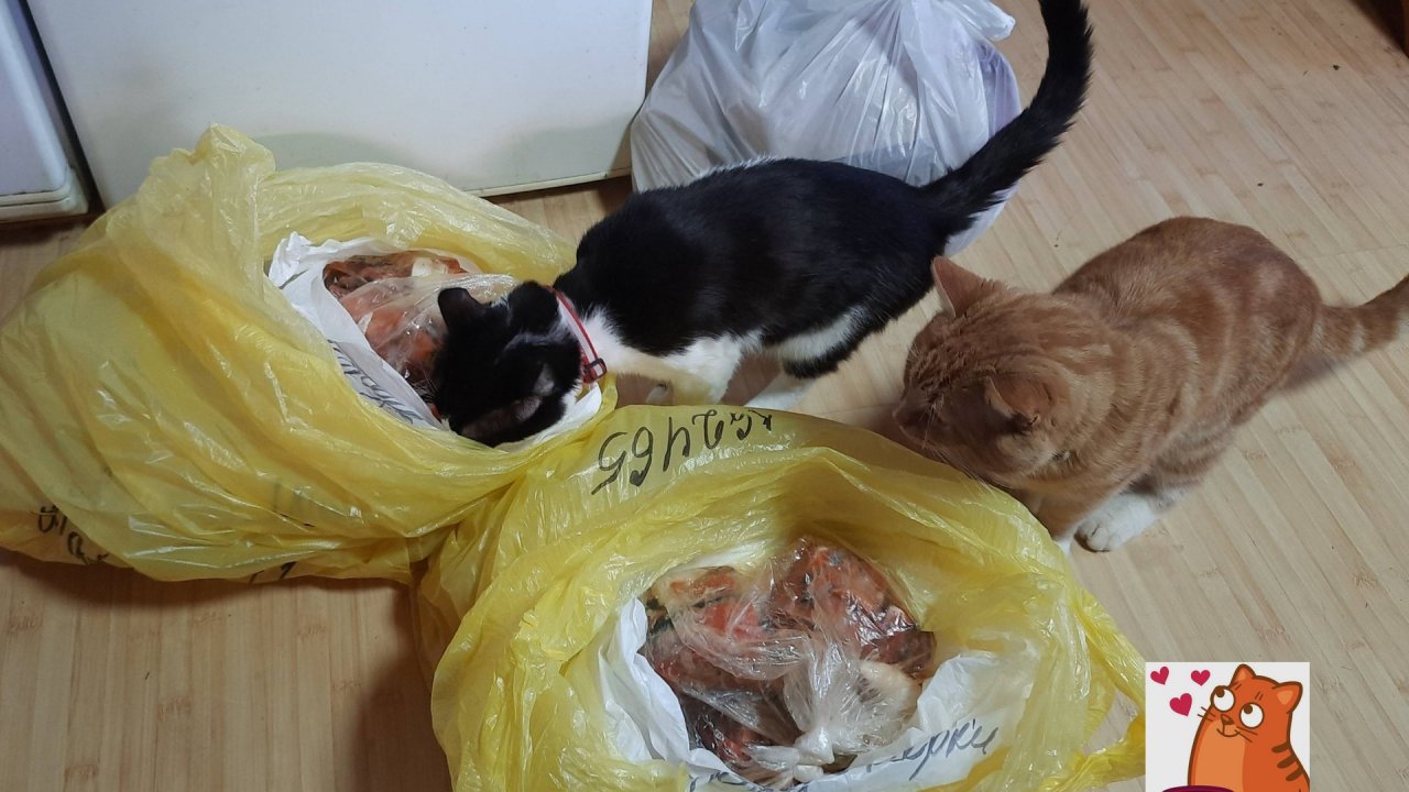 В деревне Четверг-Апрель 2025