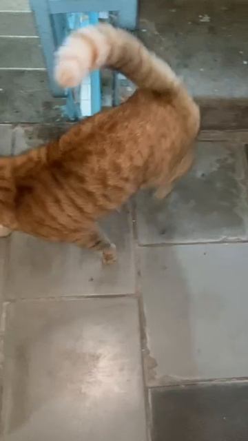 Когда один дома весь день