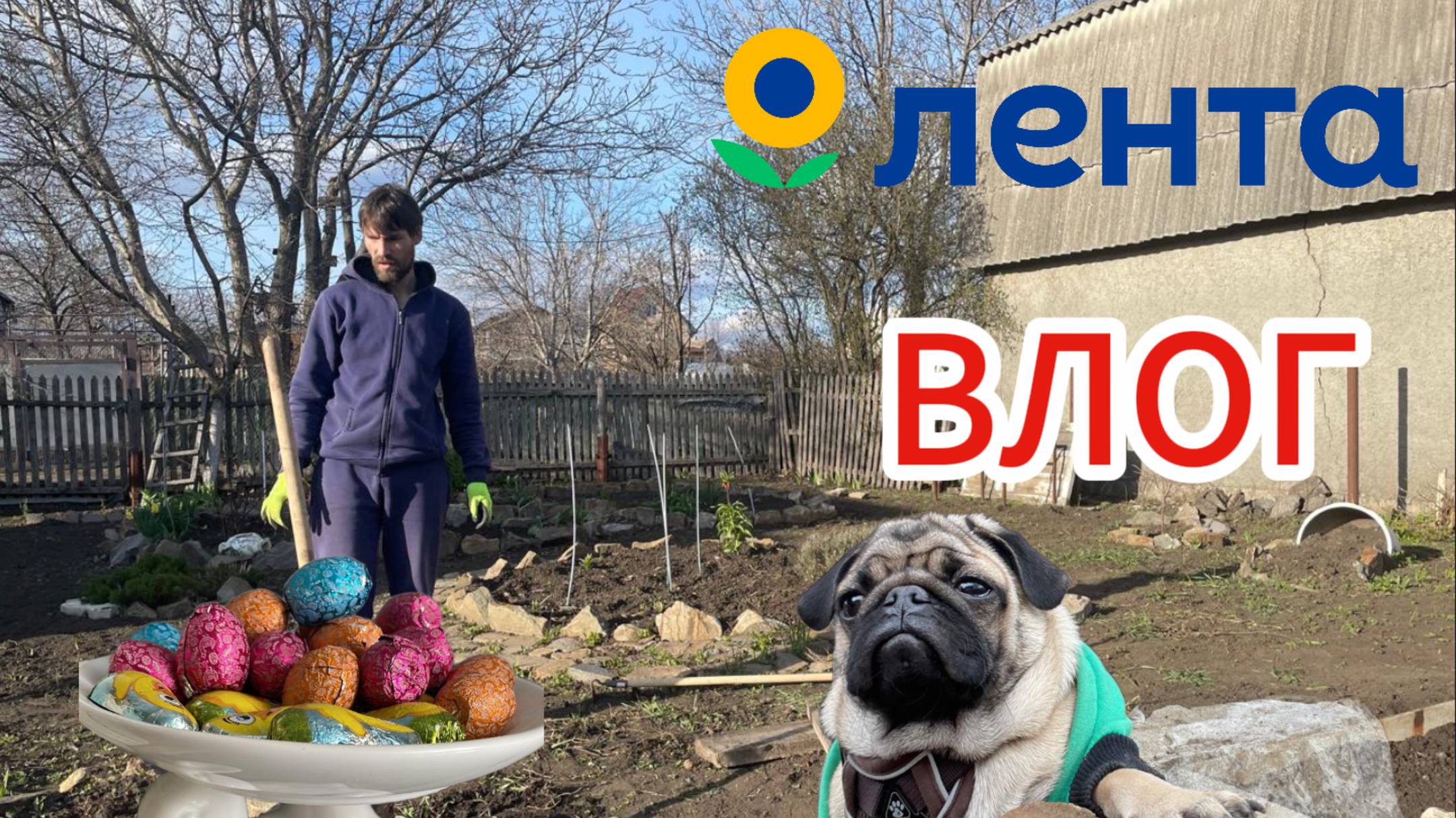 ВЛОГ // ДАЧНЫЕ РАБОТЫ //ЛЕНТА // ПОКУПКИ//