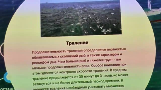 Камчатка, что, где и как? 03.08.23.