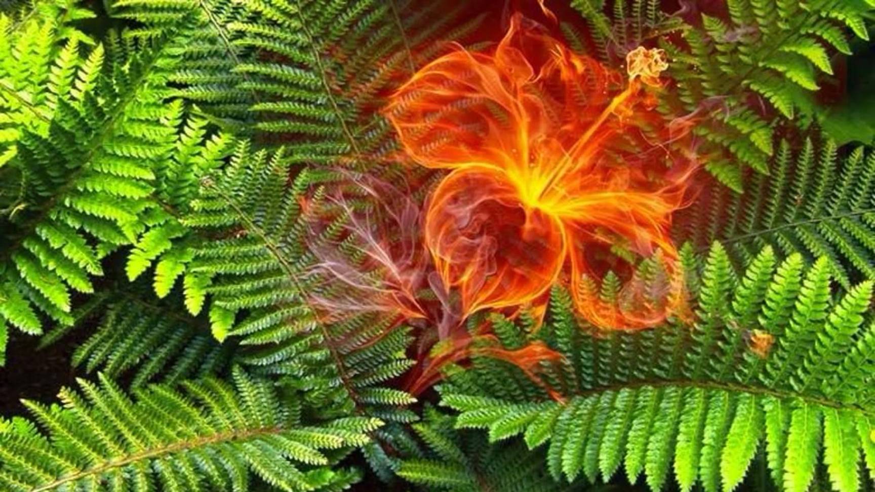 "По Вере вашей..."- Сила состояния