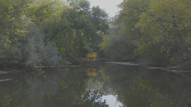 Дикая Река Классика 🔊 4K HDR 2000