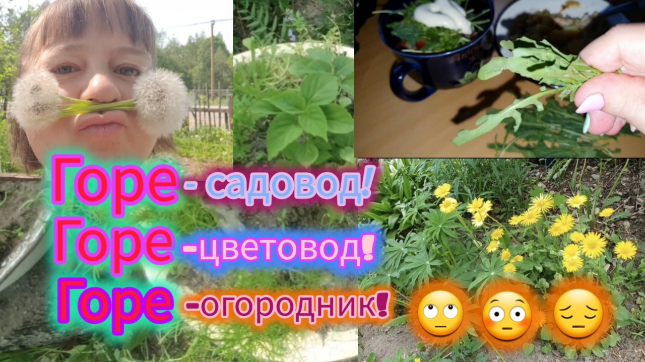 1.06.2024 #2 Плюсы и минусы теплицы с чехлом из лутрасила.🤷♀️Дела садовые.🌿