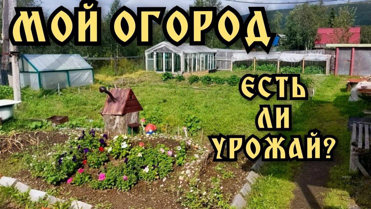 Обзор участка и огорода. Что нового?