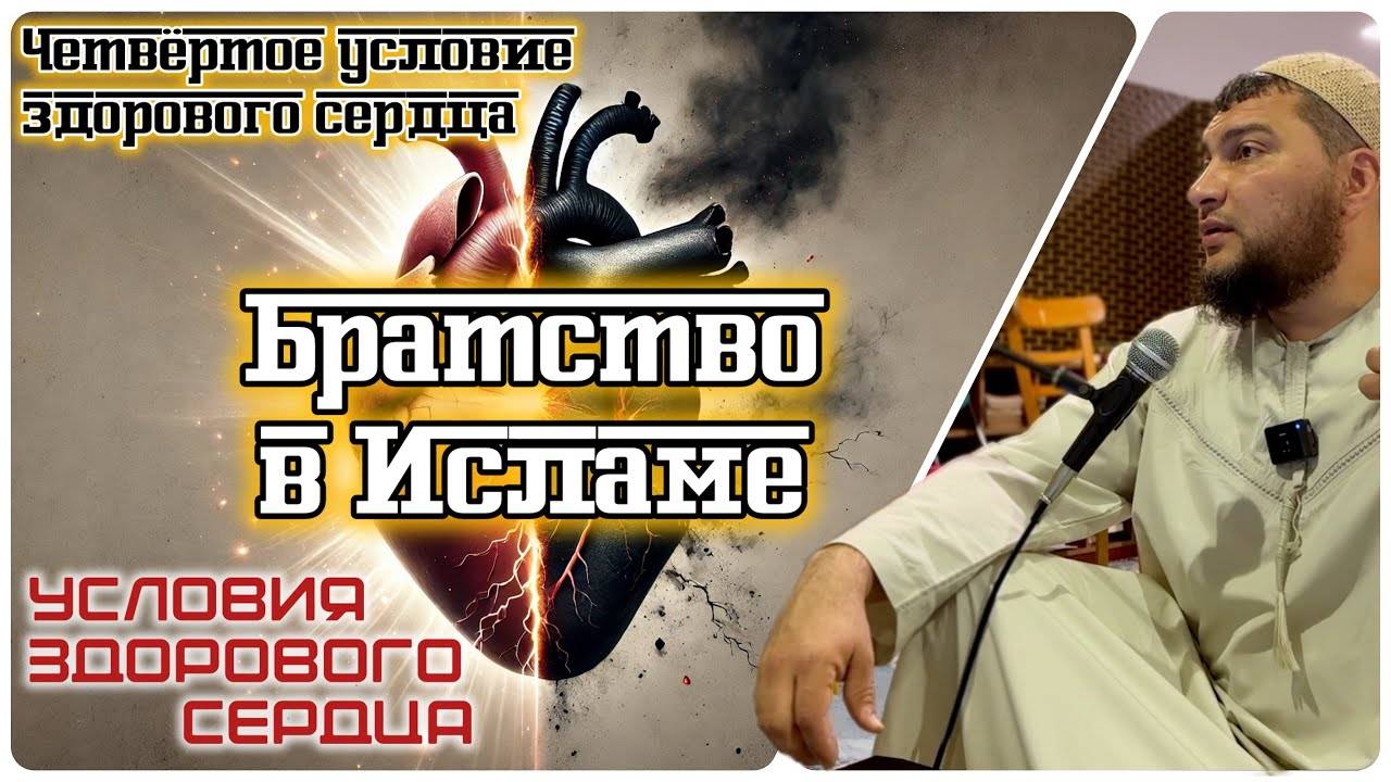 Братство в Исламе (четвёртое условие здорового сердца) [4]