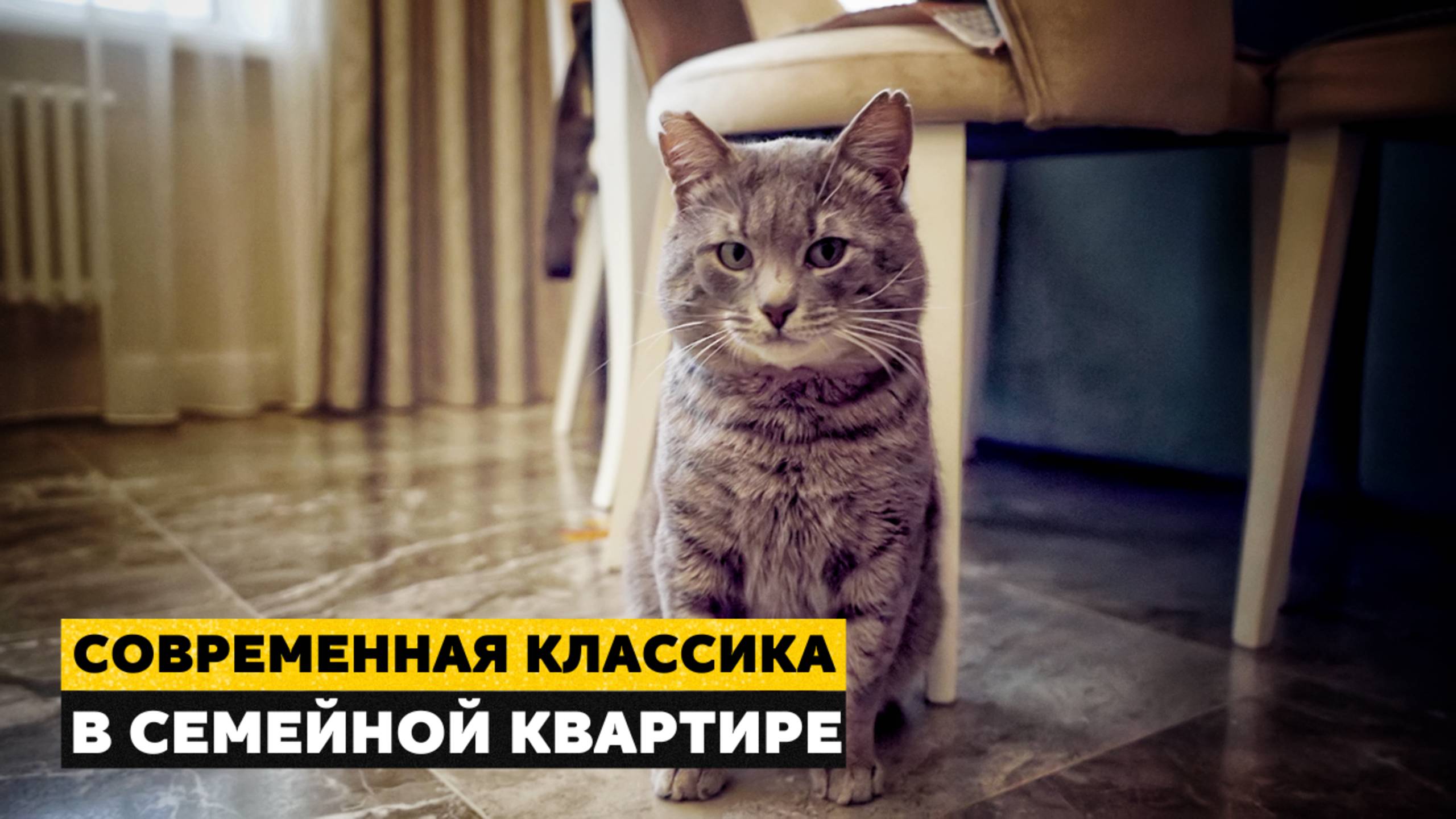 Квартира для семьи с котом | РУМ ТУР в ЖК «Сердце Столицы»