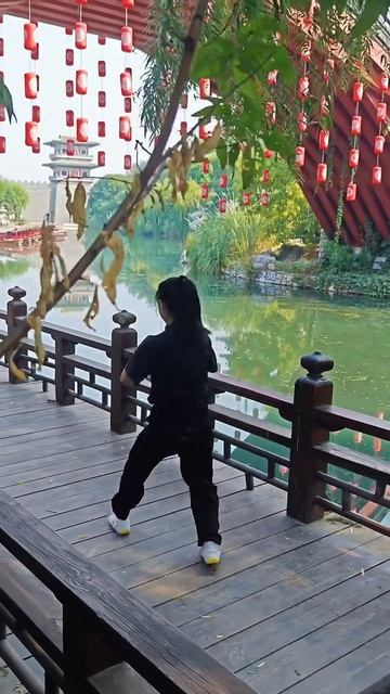 Боевые искуства Китая (299)