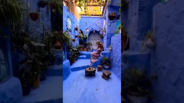 78 Cardig...- Erase видеозалипалка