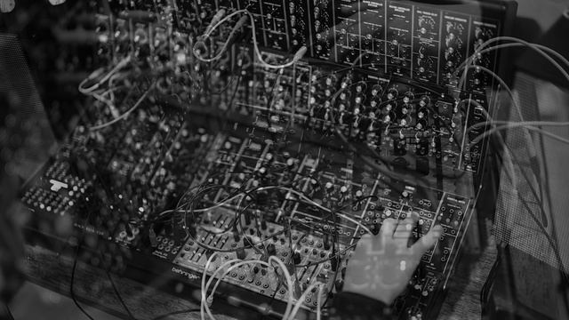 The Bees - B. System 55 and System 100