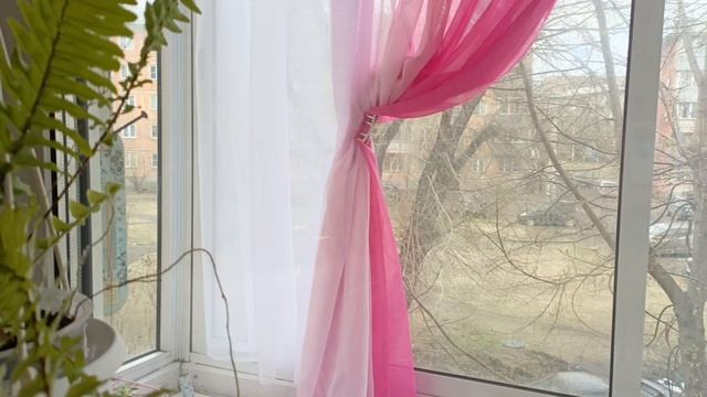 Влог ,болталка, стрептокарпусы не мои растения, а чем вы занимаетесь в квартире?