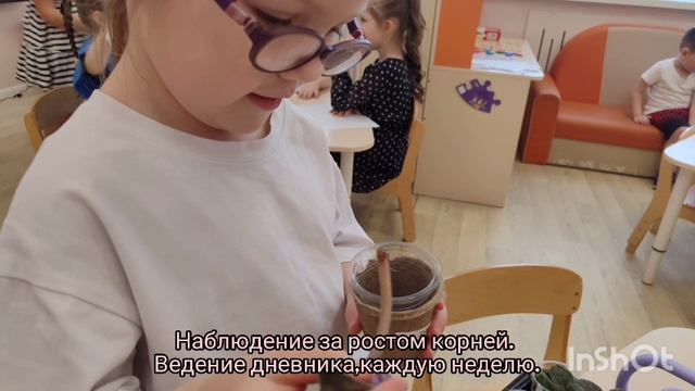 Проект "Посади фиалку", в средней группе "Изобретатели".
Педагоги: Галицына И.А., Воронцова И.В.