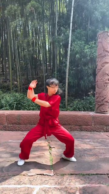 Боевые искуства Китая (298)