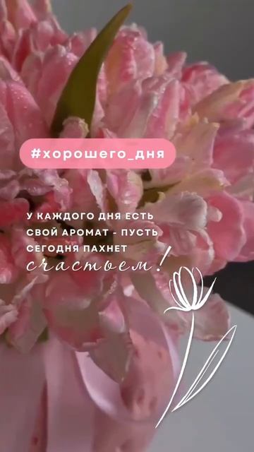 Доброе утро и хорошего дня...