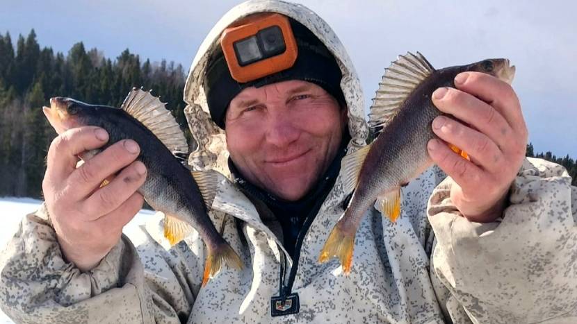 Закрытие зимнего сезона 2024 - 2025  Дикие окуни таёжного озера
