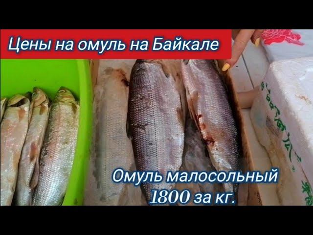 Байкал. Цены на омуль