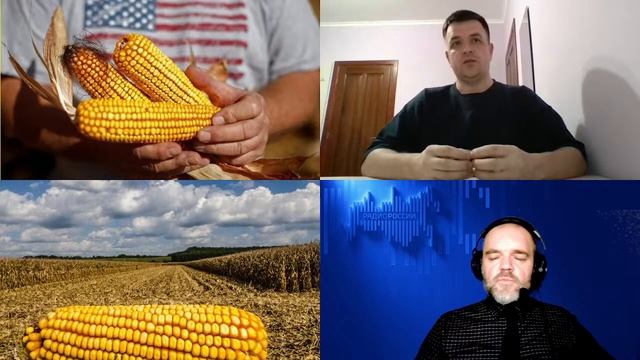 1517. Уваров А.В.: ГМО и гибриды кукурузы в США - основа пищевой промышленности