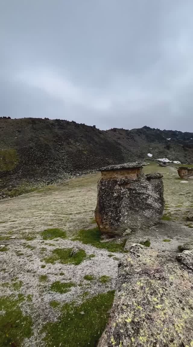 Каменные грибы