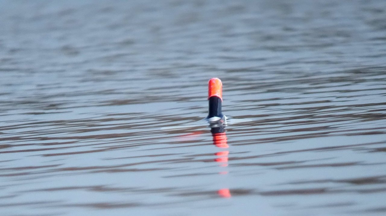Рыбалка на поплавок в апреле ! Ловля плотвы на супер заметный новый крылатый поплавок!