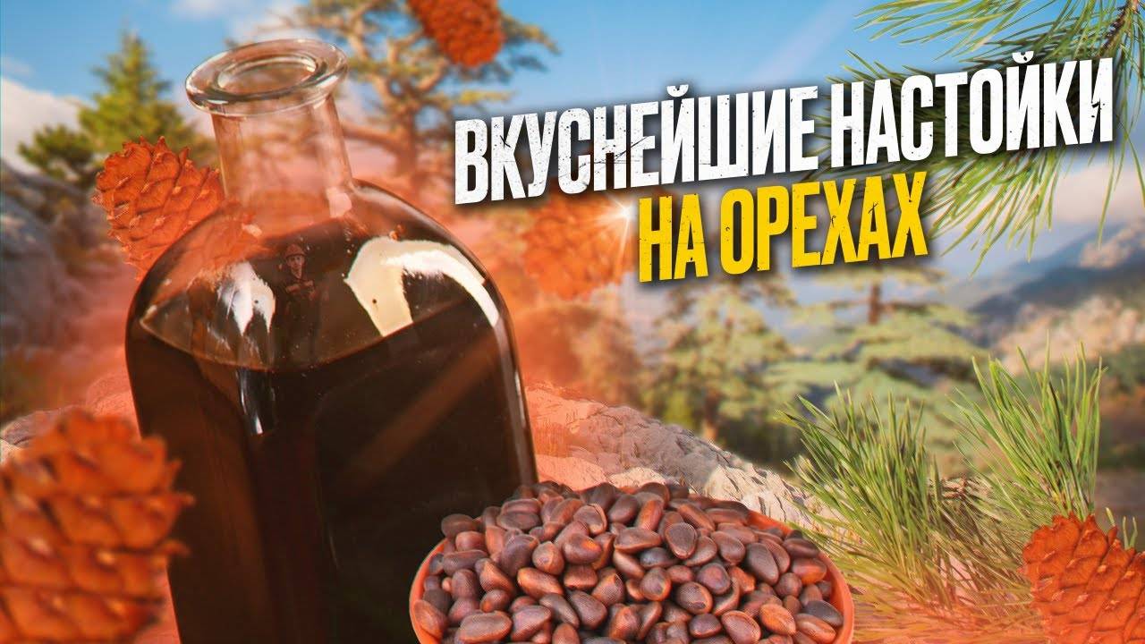 Рецепты настоек на орехах: на перегородках грецких орехов, кедровая, фисташковая