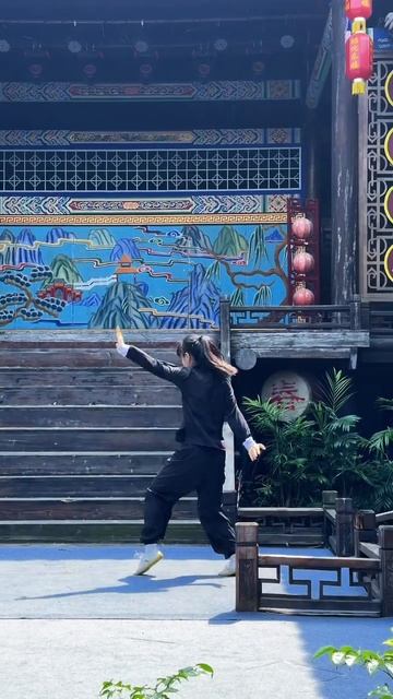 Боевые искуства Китая (289)