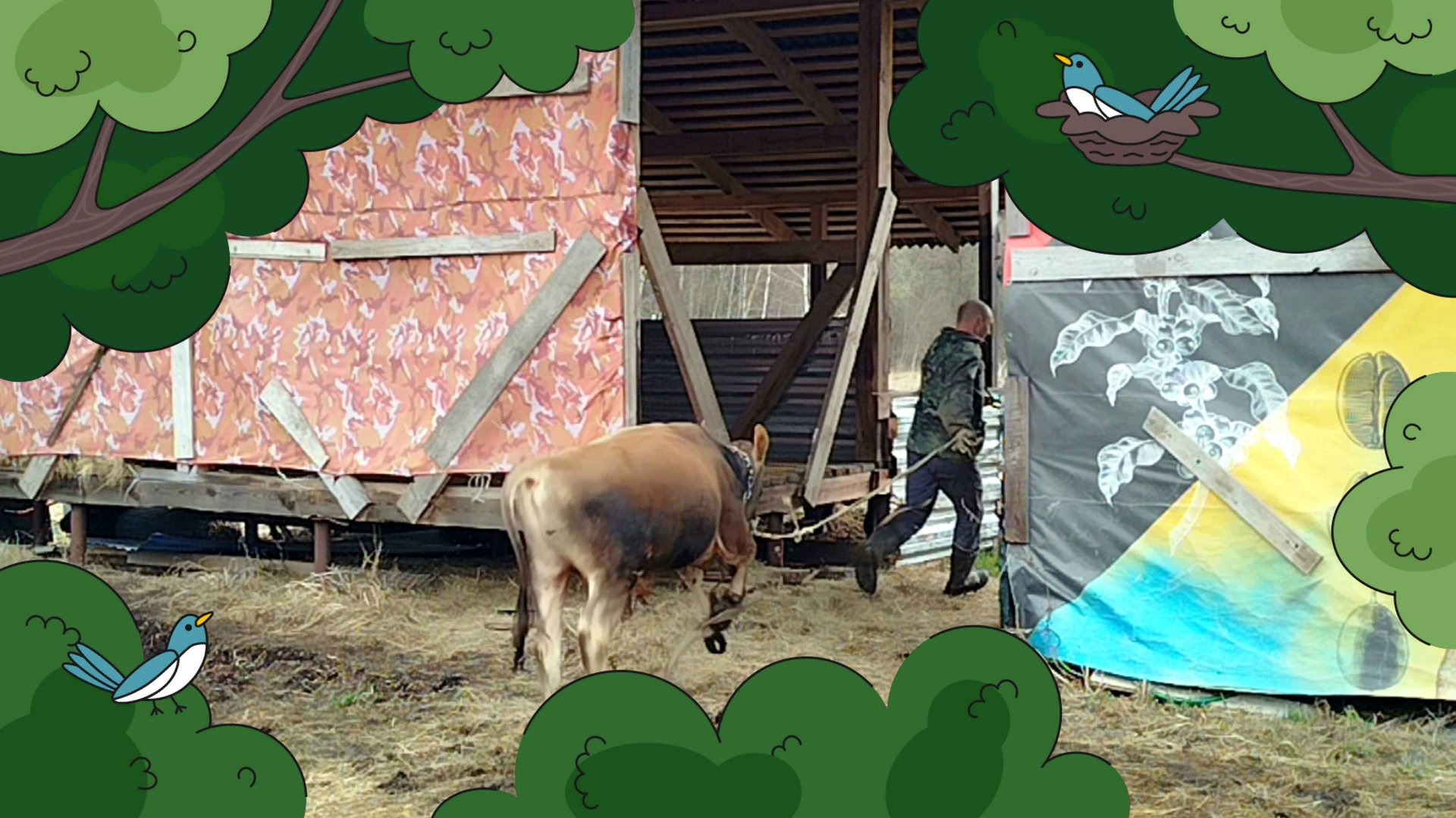 ВЫГОНЯЕМ БЫКА 🌼🌷🪻У НАС ЛЕТО🌼🪻🌷