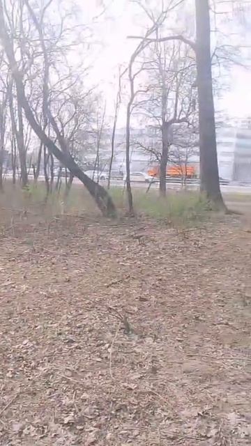 Бурение скважин, удачей заряжен