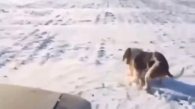 Вот, учудили!.. 🤣