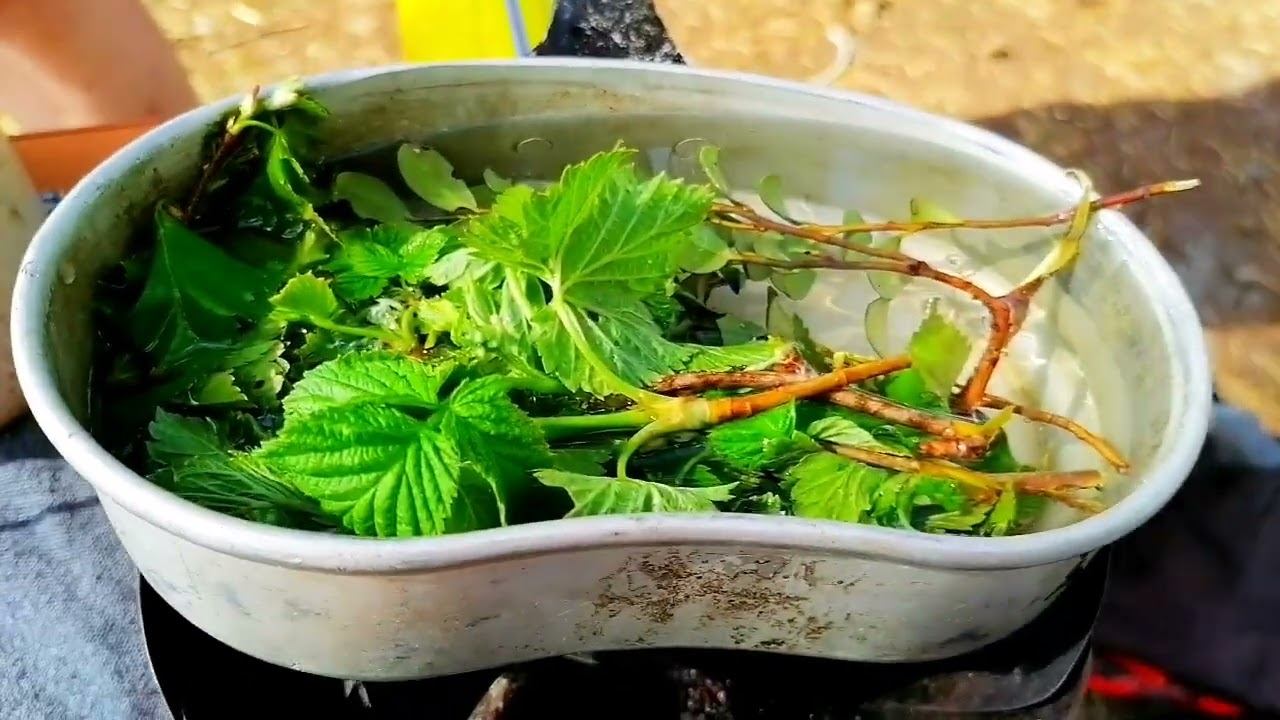 Первый летний выходной