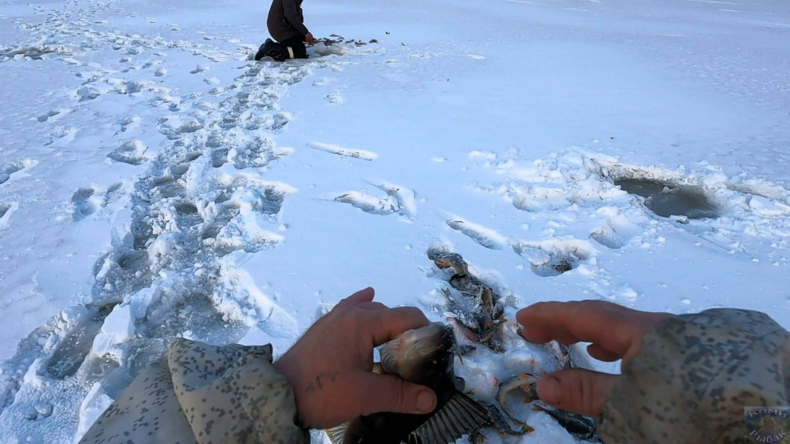 Закрытие зимнего сезона 2024 - 2025  Дикие окуни таёжного озера  ( продолжение )