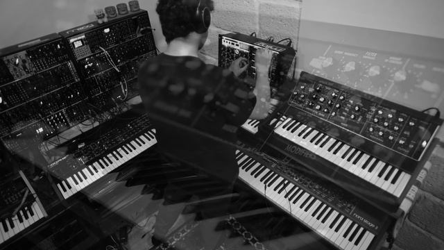 CRUNCH - Minimoog MODEL D & VOYAGER