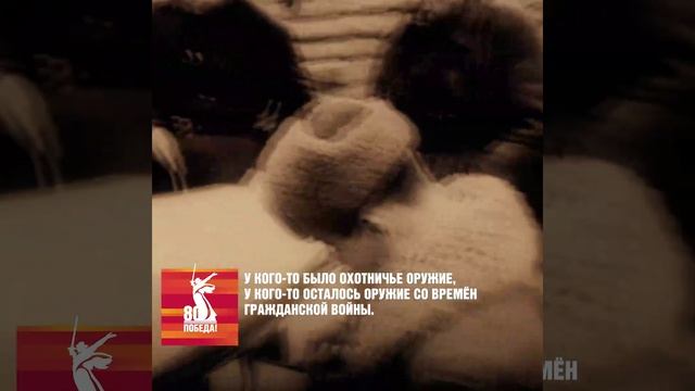 "Где партизаны брали оружие"