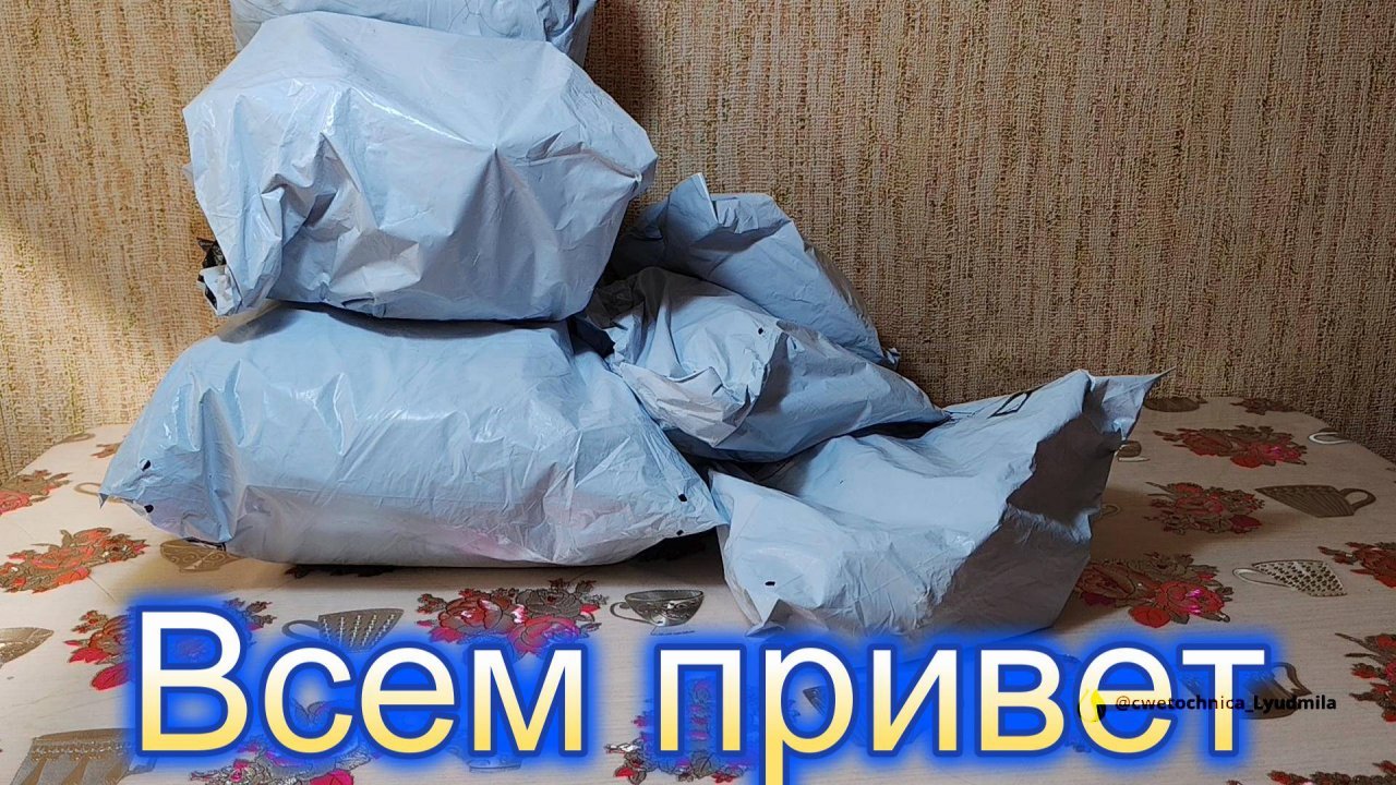 Огромная распаковка посылок с сайта Temu