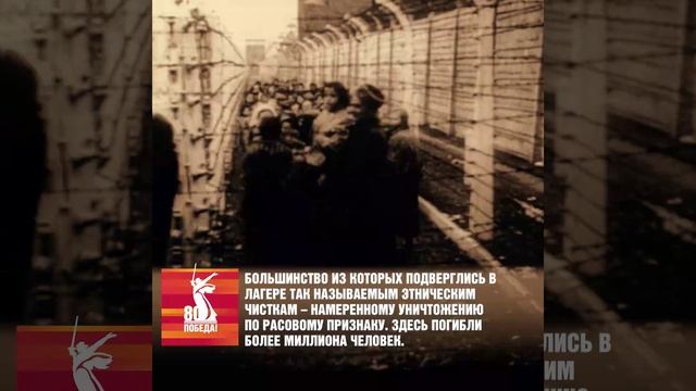 "Освенцим – освобождение"