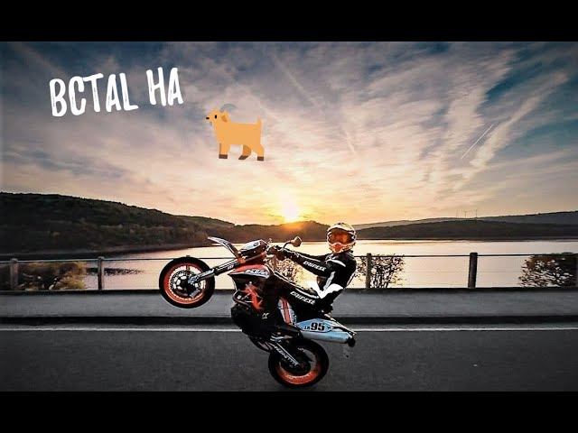 На "козла", Краснодар(КМР) - 24.10.2023