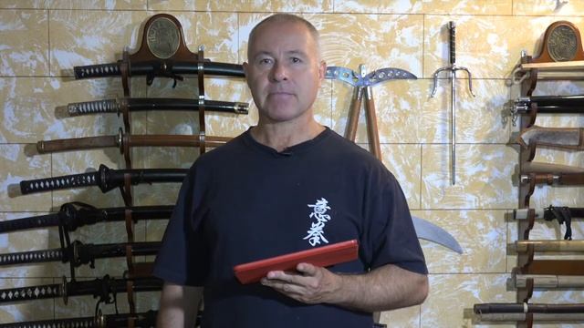 ШКОЛА ИЦЮАНЬ-4 / Методы Ицюань / Усилие назад-вперёд / Натяжения в столбах.