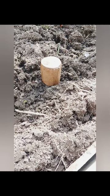 Табачная шашка от вредителей🐛