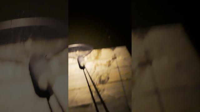 Безумное открытие по карпу на Белом лтсе 25