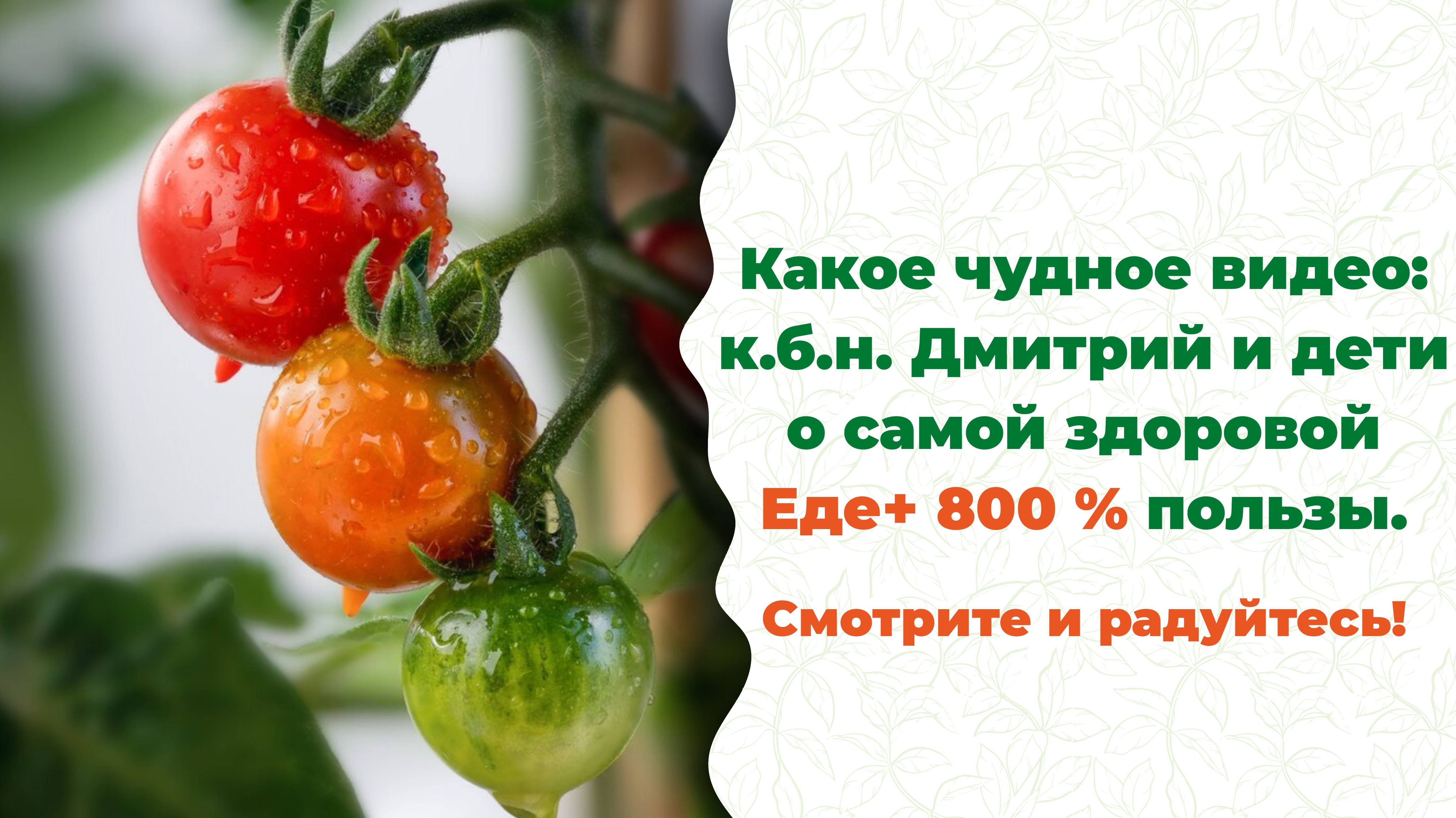 Детям и взрослым о том, что такое Еда+800% пользы по витаминам и минералам?