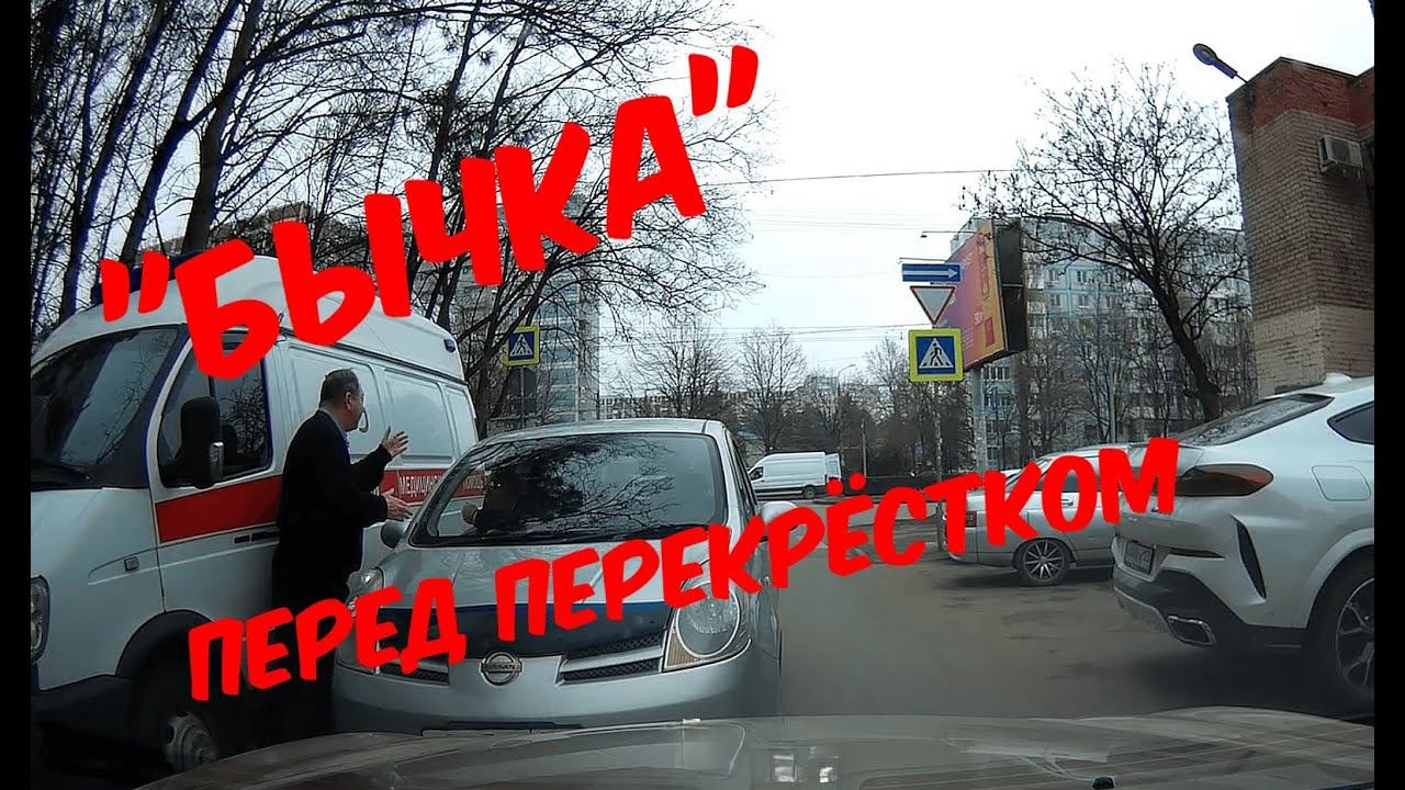 Бычка перед перекрёстком, Краснодар(КМР) - 17.03.2023