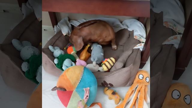 все наши игрушки