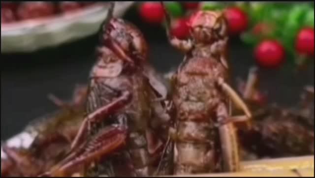 Жареные кузнечики!!!