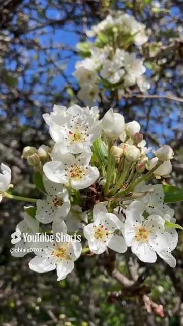 Красота в глазах смотрящего