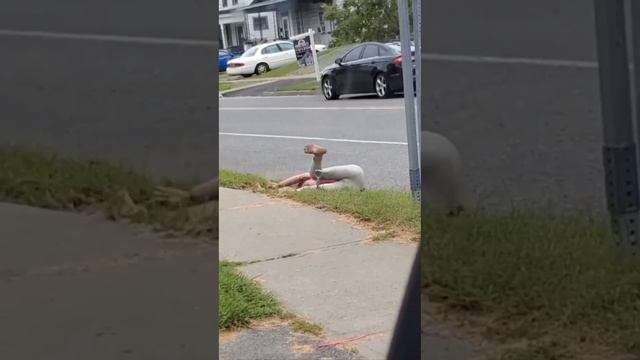 Ой, блин.. И смех и грех!.. 🤯