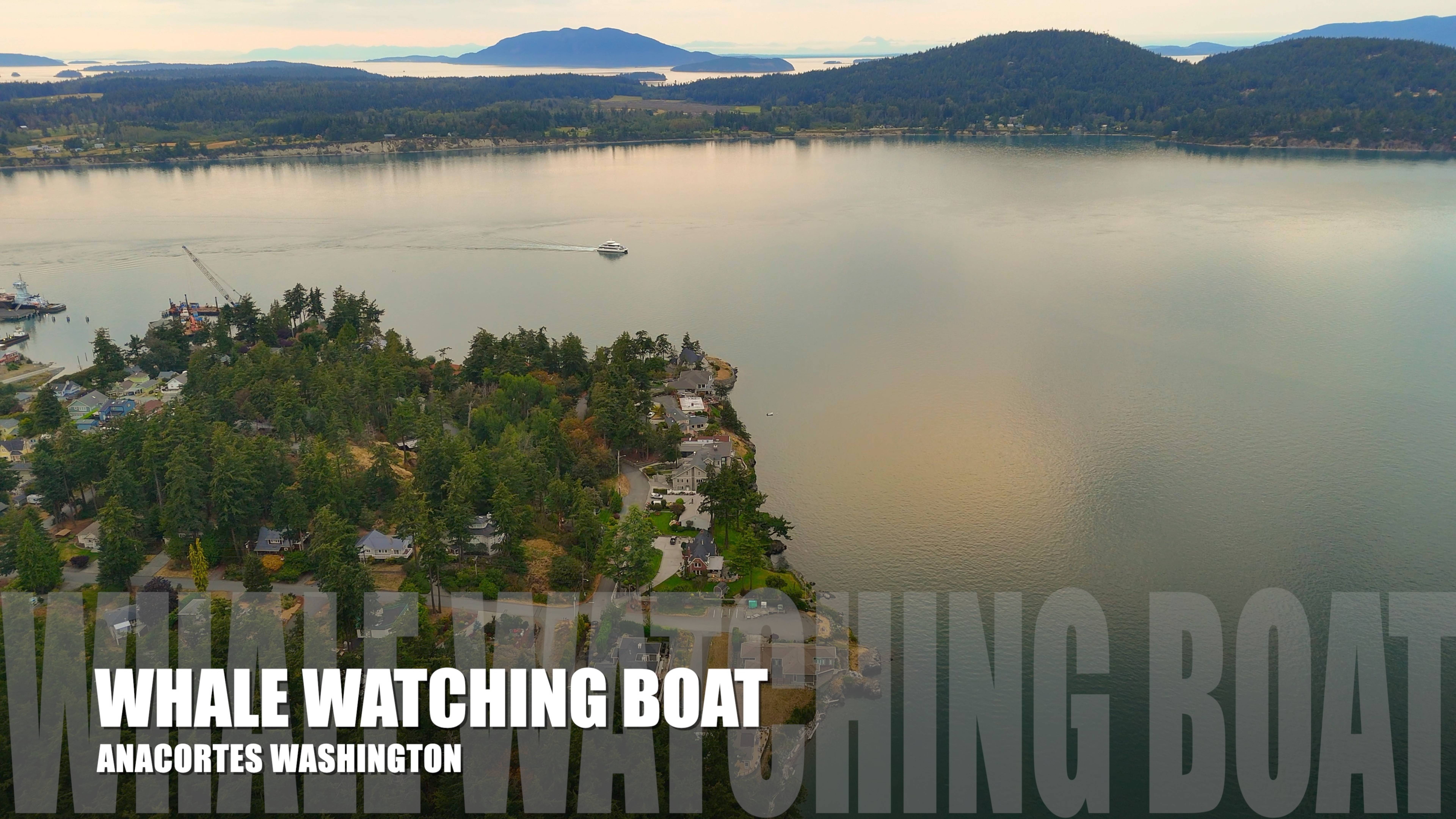🛥️ Китовая прогулка возвращается в Кап-Сант, Анакортес 🐋