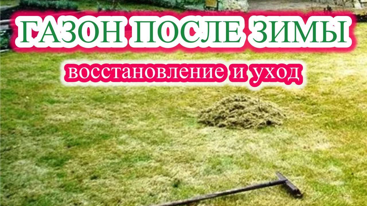 СРОЧНЫЕ ВЕСЕННИЕ ДЕЙСТВИЯ С ГАЗОМ иначе зелёного ковра не будет!