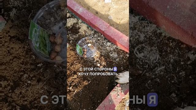 Весна на даче