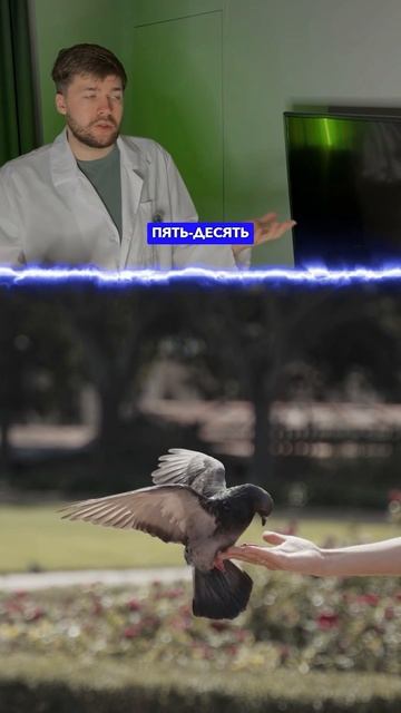 Почему жужжит муха?
Запись на Курс в ТГ: globalee_phys