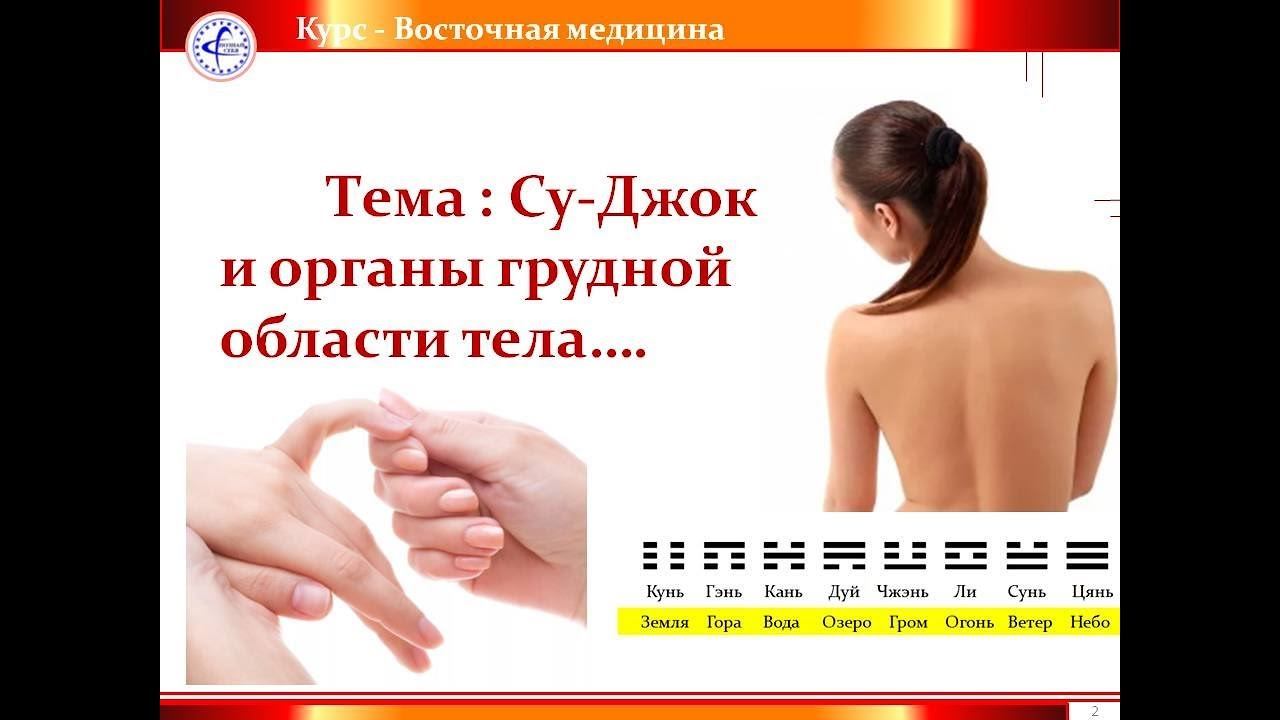 Су Джок и грудная клетка 2