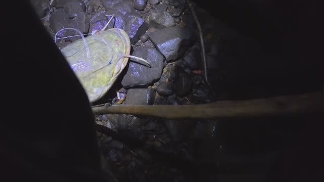 Летняя рыбалка 22-23.04.2025